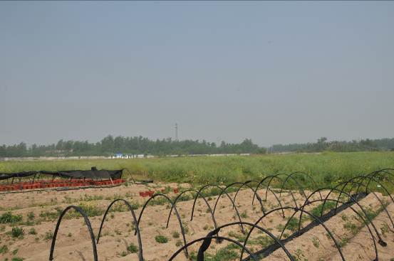 淮阴师范学院校内生物科技园